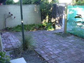 Before