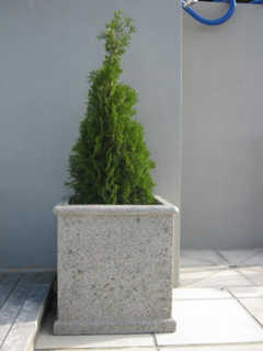 Pots - Urban paving
